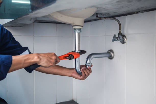 Best Clogged Drain Plumber  in Riverdale Park, CA